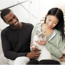 Iams Advanced Health Immune Health Salmon & Chicken Recipe Adult Dry Cat Food -Furry Feast 908358 PT8. AC SS1800 V1701881411