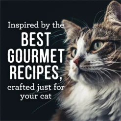 Merrick Purrfect Bistro Soirees Turkey Cassoulet Chunky Gravy Grain-Free Wet Cat Food, 2.75-oz Can, Case Of 24 -Furry Feast 912774 PT3. AC SS1800 V1689689082