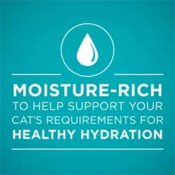 Purina ONE True Instinct Salmon & Trout Recipe In Sauce Natural High Protein Canned Cat Food -Furry Feast 91561 PT2. AC SS1800 V1653499883