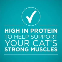 Purina ONE True Instinct Salmon & Trout Recipe In Sauce Natural High Protein Canned Cat Food -Furry Feast 91561 PT5. AC SS1800 V1653499283