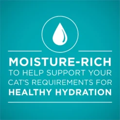 Purina ONE True Instinct Chicken Recipe In Gravy Natural High Protein Canned Cat Food, 3-oz, Case Of 24 -Furry Feast 91563 PT2. AC SS1800 V1653501082