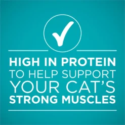 Purina ONE True Instinct Chicken Recipe In Gravy Natural High Protein Canned Cat Food, 3-oz, Case Of 24 -Furry Feast 91563 PT5. AC SS1800 V1657661112