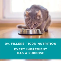 Purina ONE True Instinct Chicken Recipe In Gravy Natural High Protein Canned Cat Food, 3-oz, Case Of 24 -Furry Feast 91563 PT6. AC SS1800 V1657661112