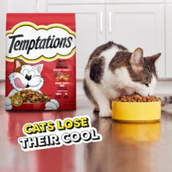 Temptations Block Party BBQ Flavor Adult Dry Cat Food -Furry Feast 916910 PT7. AC SS1800 V1689970360