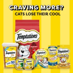 Temptations Block Party BBQ Flavor Adult Dry Cat Food -Furry Feast 916910 PT8. AC SS1800 V1689970366