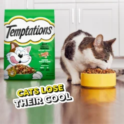 Temptations Seafood Medley Flavor Adult Dry Cat Food -Furry Feast 916942 PT7. AC SS1800 V1689970292