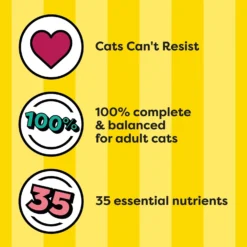 Temptations Tasty Chicken Flavor Adult Dry Cat Food -Furry Feast 916974 PT4. AC SS1800 V1689971350