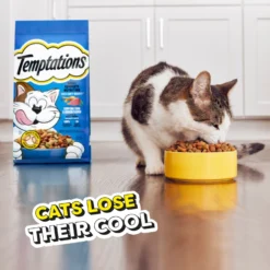 Temptations Tempting Tuna & Chicken Flavor Adult Dry Cat Food 16 Temptations Tempting Tuna & Chicken Flavor Adult Dry Cat Food -Furry Feast 917006 PT7. AC SS1800 V1689970945