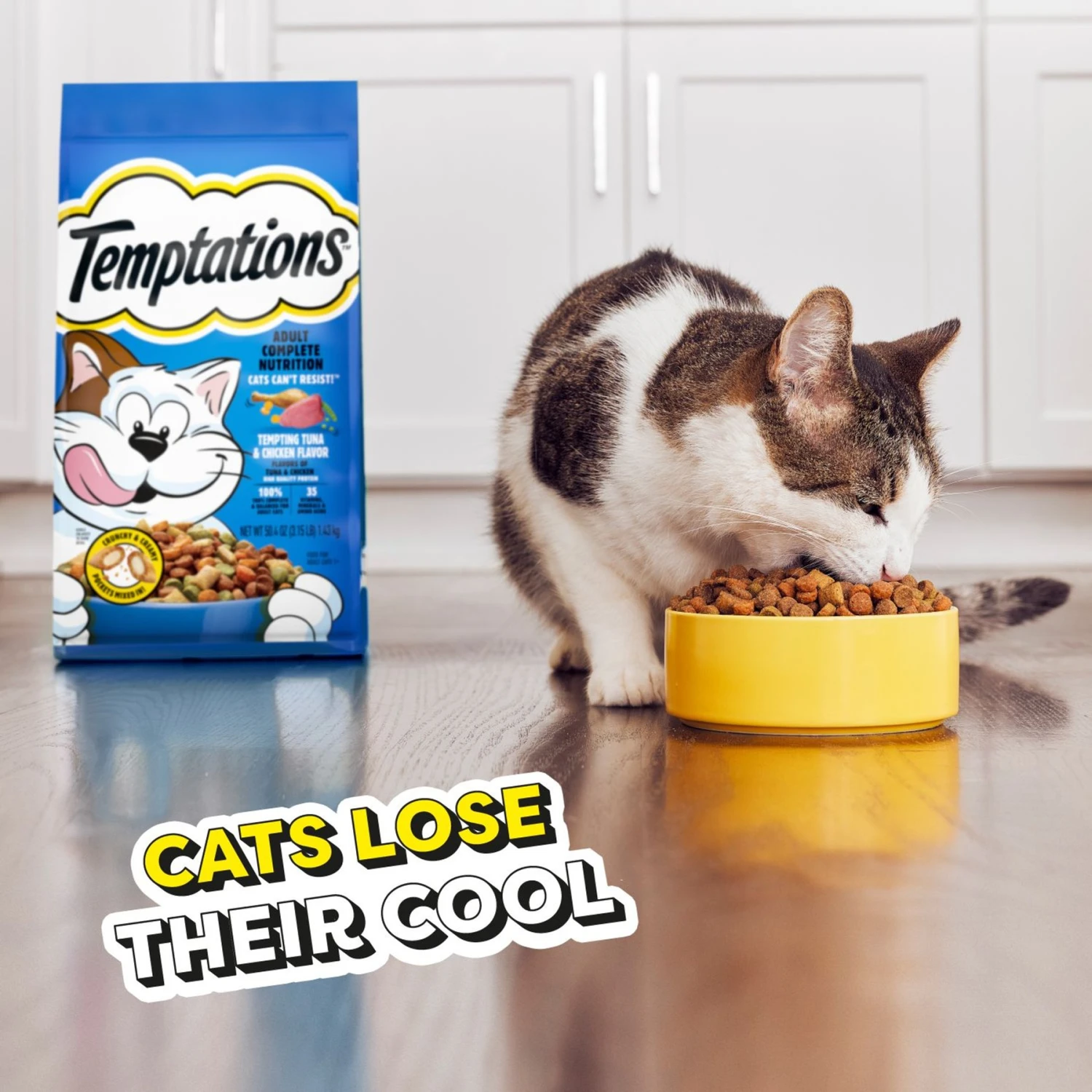 Temptations Tempting Tuna & Chicken Flavor Adult Dry Cat Food 8 Temptations Tempting Tuna & Chicken Flavor Adult Dry Cat Food - Image 8