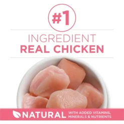 Purina ONE +Plus Healthy Kitten Formula Natural Dry Cat Food -Furry Feast 91700 PT2. AC SS1800 V1679673158