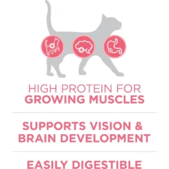 Purina ONE +Plus Healthy Kitten Formula Natural Dry Cat Food -Furry Feast 91700 PT3. AC SS1800 V1679673105