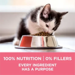 Purina ONE +Plus Healthy Kitten Formula Natural Dry Cat Food -Furry Feast 91700 PT5. AC SS1800 V1679673104