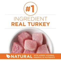 Purina ONE +Plus Ideal Weight Natural High Protein Adult Dry Cat Food -Furry Feast 91703 PT2. AC SS1800 V1677535261