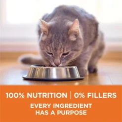Purina ONE +Plus Ideal Weight Natural High Protein Adult Dry Cat Food -Furry Feast 91703 PT5. AC SS1800 V1677535321