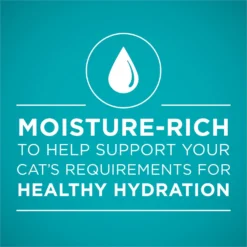 'Purina ONE Natural Weight Control Ideal Weight Tender Salmon Recipe Wet Cat Food 11 'Purina ONE Natural Weight Control Ideal Weight Tender Salmon Recipe Wet Cat Food -Furry Feast 91747 PT2. AC SS1800 V1658192686