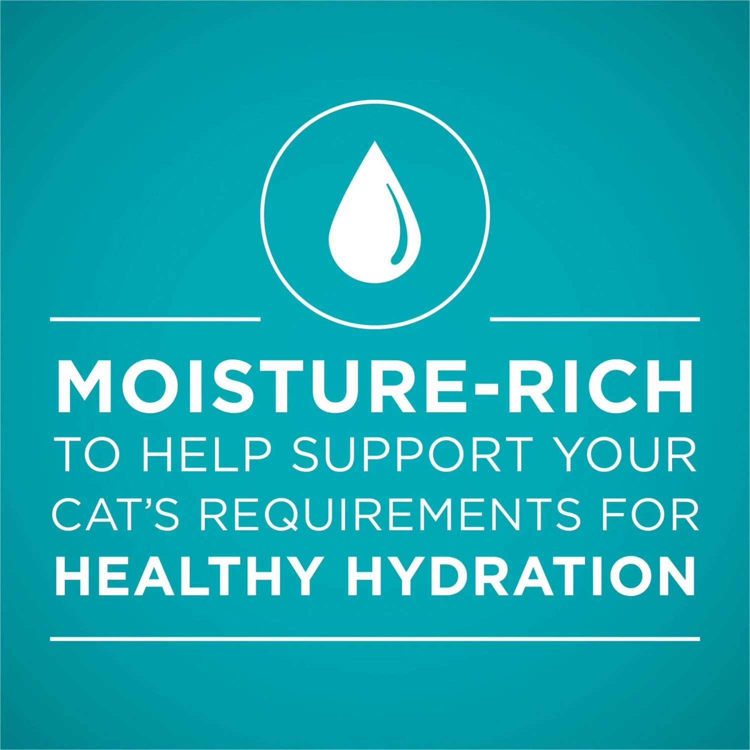 'Purina ONE Natural Weight Control Ideal Weight Tender Salmon Recipe Wet Cat Food 3 'Purina ONE Natural Weight Control Ideal Weight Tender Salmon Recipe Wet Cat Food - Image 3