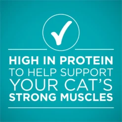 'Purina ONE Natural Weight Control Ideal Weight Tender Salmon Recipe Wet Cat Food 14 'Purina ONE Natural Weight Control Ideal Weight Tender Salmon Recipe Wet Cat Food -Furry Feast 91747 PT5. AC SS1800 V1658207462