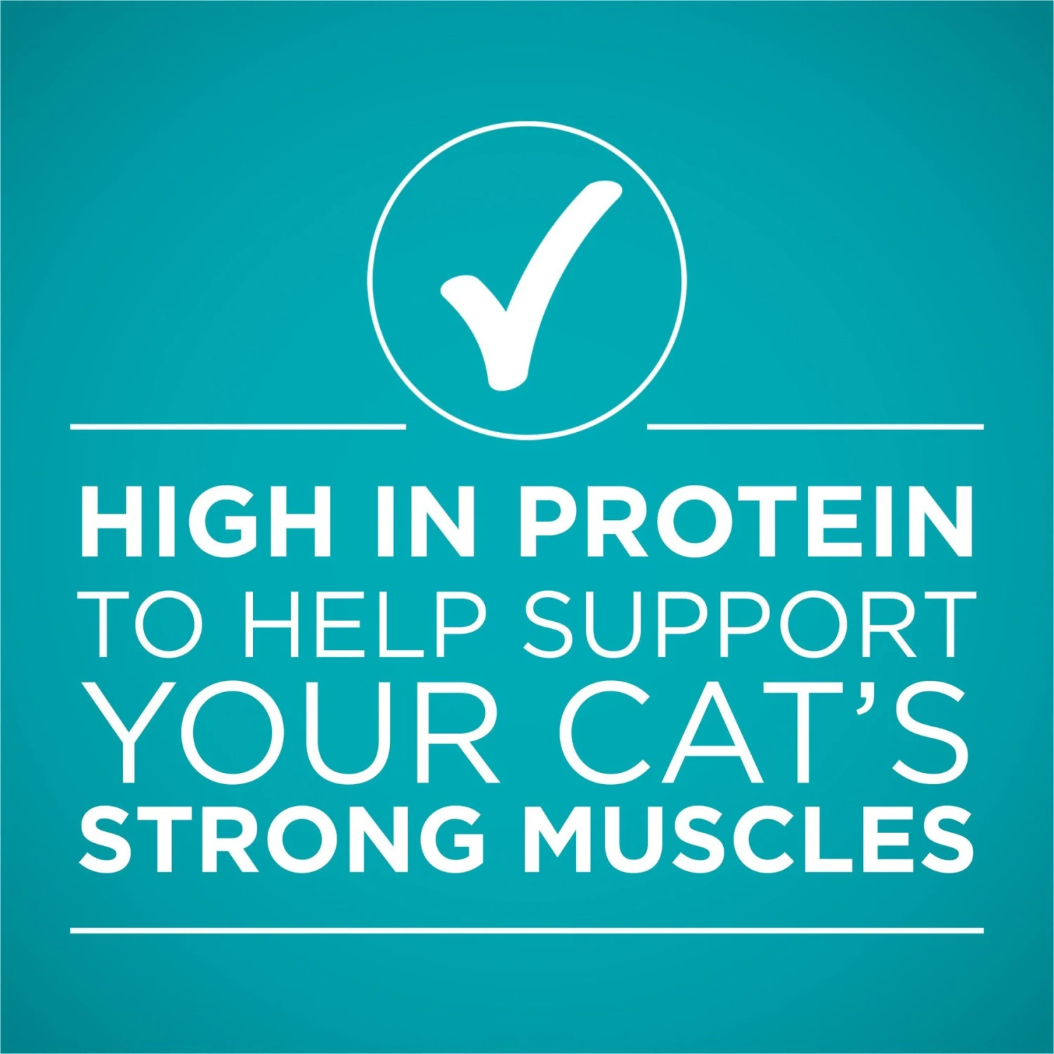 'Purina ONE Natural Weight Control Ideal Weight Tender Salmon Recipe Wet Cat Food 6 'Purina ONE Natural Weight Control Ideal Weight Tender Salmon Recipe Wet Cat Food - Image 6