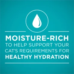 Purina ONE Natural High Protein True Instinct Chicken & Salmon Recipe In Sauce Canned Cat Food -Furry Feast 91774 PT2. AC SS1800 V1657661113