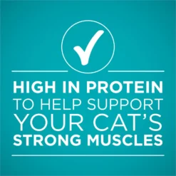 Purina ONE Natural High Protein True Instinct Chicken & Salmon Recipe In Sauce Canned Cat Food -Furry Feast 91774 PT5. AC SS1800 V1657661113