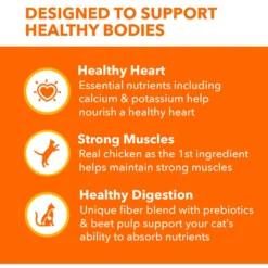 Iams ProActive Health Healthy Adult Original With Chicken Dry Cat Food -Furry Feast 93642 PT4. AC SS1800 V1609948652