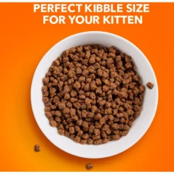 Iams ProActive Health Kitten Dry Cat Food -Furry Feast 93654 PT3. AC SS1800 V1609948058