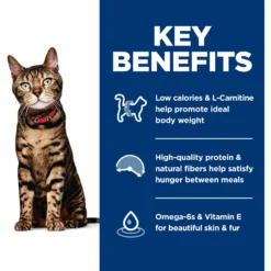 Hill's Science Diet Adult Light Chicken Recipe Dry Cat Food -Furry Feast 93923 PT3. AC SS1800 V1598151357