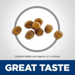 Hill's Science Diet Adult 7+ Chicken Recipe Dry Cat Food -Furry Feast 93924 PT2. AC SS1800 V1598151665