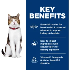 Hill's Science Diet Adult 7+ Chicken Recipe Dry Cat Food -Furry Feast 93924 PT5. AC SS1800 V1598157394