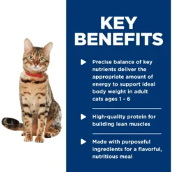 Hill's Science Diet Adult Healthy Cuisine Roasted Chicken & Rice Medley Canned Cat Food -Furry Feast 94014 PT4. AC SS1800 V1598154358