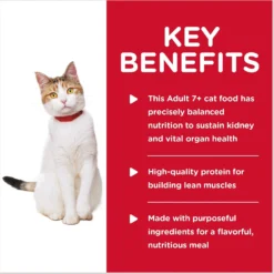 Hill's Science Diet Adult 7+ Healthy Cuisine Roasted Chicken & Rice Medley Canned Cat Food 12 Hill's Science Diet Adult 7+ Healthy Cuisine Roasted Chicken & Rice Medley Canned Cat Food -Furry Feast 94016 PT3. AC SS1800 V1598143567