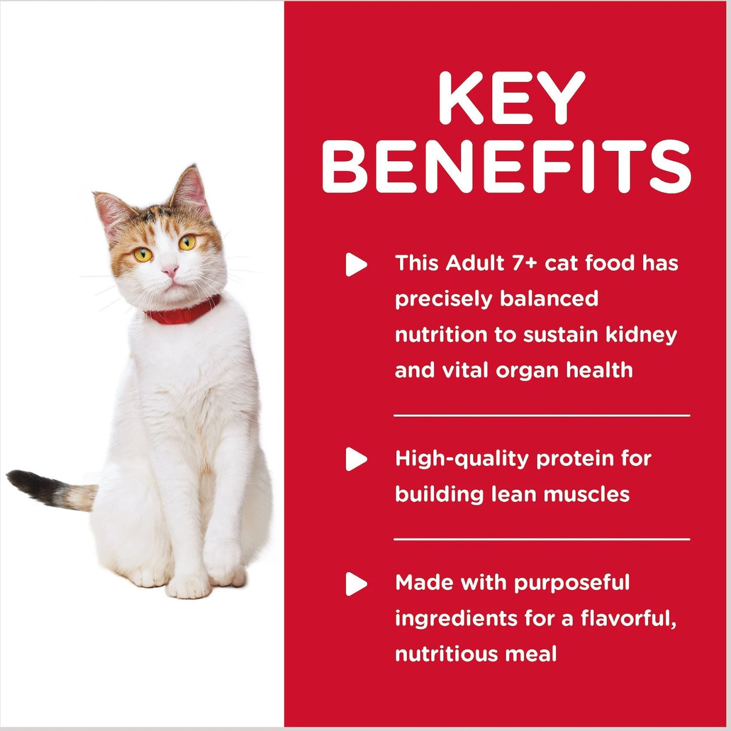 Hill's Science Diet Adult 7+ Healthy Cuisine Roasted Chicken & Rice Medley Canned Cat Food 4 Hill's Science Diet Adult 7+ Healthy Cuisine Roasted Chicken & Rice Medley Canned Cat Food - Image 4