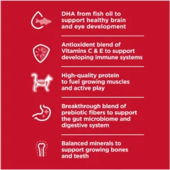 Hill's Science Diet Kitten Healthy Cuisine Tender Chicken & Rice Medley Canned Cat Food -Furry Feast 94018 PT3. AC SS1800 V1693497930