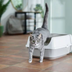 Frisco Open Top Cat Litter Box With Rim, Large & Frisco Plastic Litter Scooper With Caddy -Furry Feast 947526 PT1. AC SS1800 V1693921607