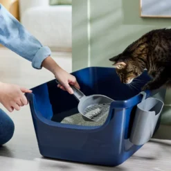 Frisco Open Top Cat Litter Box With Rim, Large & Frisco Plastic Litter Scooper With Caddy -Furry Feast 947526 PT5. AC SS1800 V1693924259