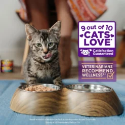Wellness Healthy Indulgence Morsels With Chicken & Salmon In Savory Sauce Grain-Free Wet Cat Food Pouches, 3-oz, Case Of 24 -Furry Feast 95720 PT2. AC SS1800 V1695821825