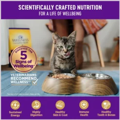 Wellness Healthy Indulgence Morsels With Chicken & Salmon In Savory Sauce Grain-Free Wet Cat Food Pouches, 3-oz, Case Of 24 -Furry Feast 95720 PT3. AC SS1800 V1695837643