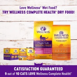 Wellness Healthy Indulgence Morsels With Salmon & Tuna In Savory Sauce Grain-Free Wet Cat Food Pouches, 3-oz, Case Of 24 -Furry Feast 95724 PT4. AC SS1800 V1621984688