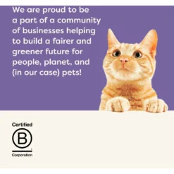 Applaws Tuna Flavors In Gravy Variety Pack Wet Cat Food, 2.47-oz Can, Case Of 12 -Furry Feast 960862 PT6. AC SS1800 V1695154760