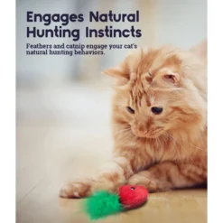 Catstages Straw-Babies Catnip Dental Cat Toy, 3 Count & Catstages Crunchy Pickle Kicker Plush Cat Toy With Catnip -Furry Feast 962070 PT4. AC SS1800 V1694783036
