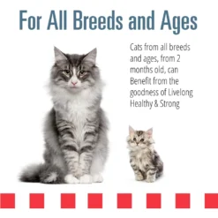 Livelong Healthy & Strong Yummy Seafood Wet Cat Food, 5.5-oz Can, 24 Count -Furry Feast 964174 PT3. AC SS1800 V1697117690