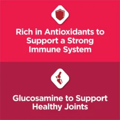 Cat Chow Essentials 7+ Immune + Joint Health Recipe Senior Dry Cat Food -Furry Feast 966590 PT2. AC SS1800 V1696359695