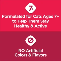Cat Chow Essentials 7+ Immune + Joint Health Recipe Senior Dry Cat Food -Furry Feast 966590 PT3. AC SS1800 V1696359580
