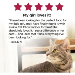 Cat Chow Essentials 7+ Immune + Joint Health Recipe Senior Dry Cat Food -Furry Feast 966590 PT5. AC SS1800 V1696349395