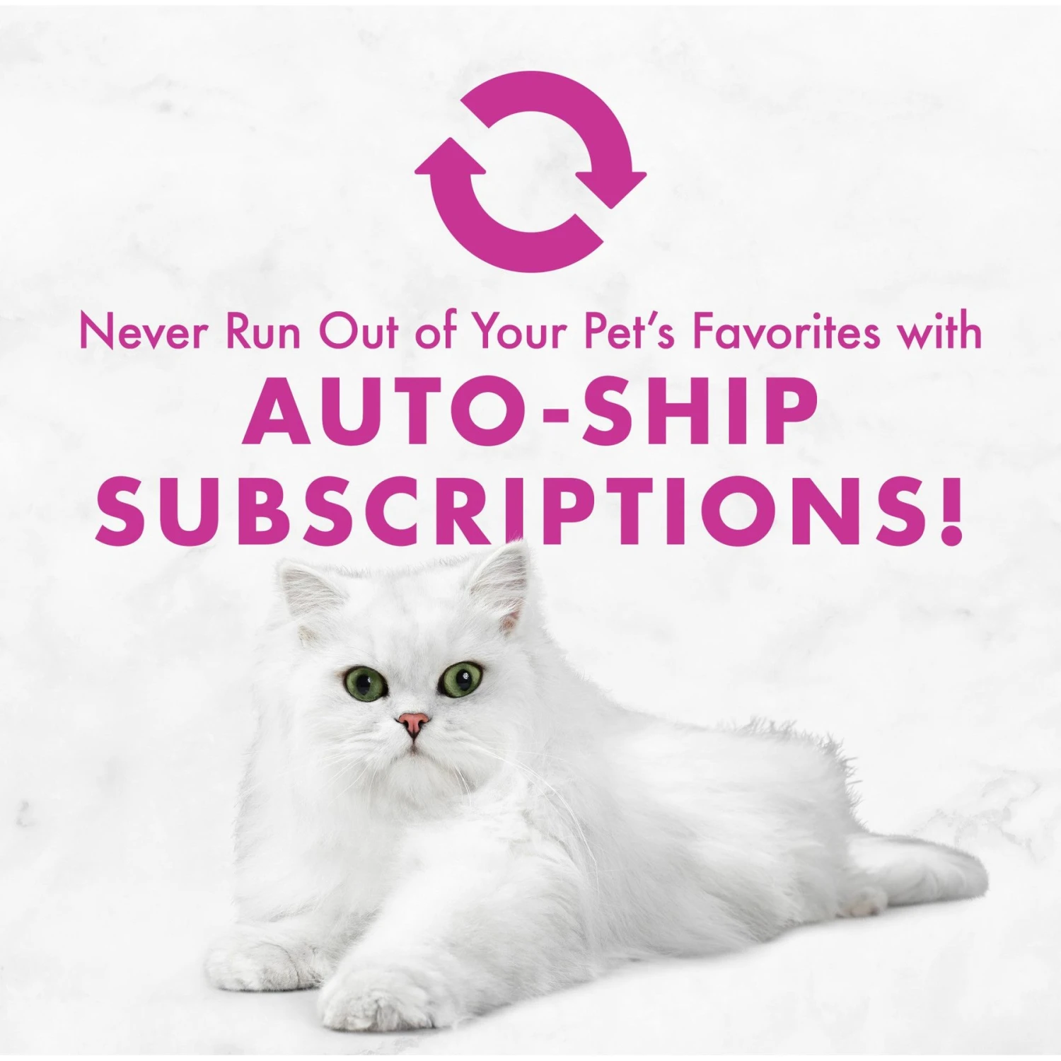 Fancy Feast Chicken Feast Grain-Free Pate Wet Cat Food, 3-oz Can, Case Of 12 8 Fancy Feast Chicken Feast Grain-Free Pate Wet Cat Food, 3-oz Can, Case Of 12 - Image 8