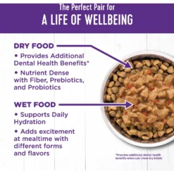 Wellness Complete Health Chicken & Turkey Lovers Gravies & Minced Variety Pack Grain-Free Wet Cat Food, 3-oz Can, Case Of 12 -Furry Feast 984662 PT5. AC SS1800 V1699642704