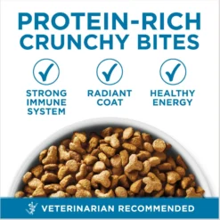 Fancy Feast Senior 7+ Chicken, Beef & Tuna Feasts Variety Pack Canned Cat Food & Purina ONE Indoor Advantage Senior 7+ High Protein Natural Dry Cat Food 16 Fancy Feast Senior 7+ Chicken, Beef & Tuna Feasts Variety Pack Canned Cat Food & Purina ONE Indoor Advantage Senior 7+ High Protein Natural Dry Cat Food -Furry Feast 986446 PT7. AC SS1800 V1698672382