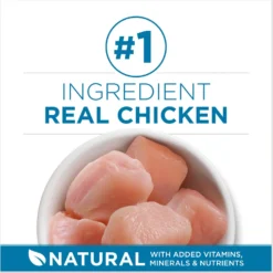 Fancy Feast Senior 7+ Chicken, Beef & Tuna Feasts Variety Pack Canned Cat Food & Purina ONE Indoor Advantage Senior 7+ High Protein Natural Dry Cat Food 17 Fancy Feast Senior 7+ Chicken, Beef & Tuna Feasts Variety Pack Canned Cat Food & Purina ONE Indoor Advantage Senior 7+ High Protein Natural Dry Cat Food -Furry Feast 986446 PT8. AC SS1800 V1698672268