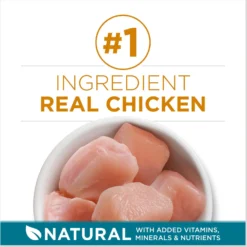 Purina ONE Tender Selects Blend With Real Chicken Dry Cat Food & Purina ONE True Instinct Turkey, Chicken & Tuna Variety Pack Canned Cat Food -Furry Feast 986462 PT4. AC SS1800 V1698672267