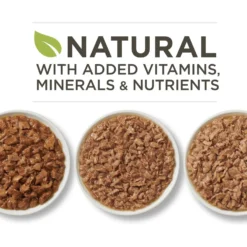 Purina ONE Tender Selects Blend With Real Chicken Dry Cat Food & Purina ONE True Instinct Turkey, Chicken & Tuna Variety Pack Canned Cat Food -Furry Feast 986462 PT7. AC SS1800 V1698672723